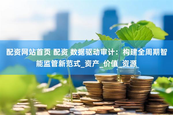 配资网站首页 配资 数据驱动审计：构建全周期智能监管新范式_资产_价值_资源
