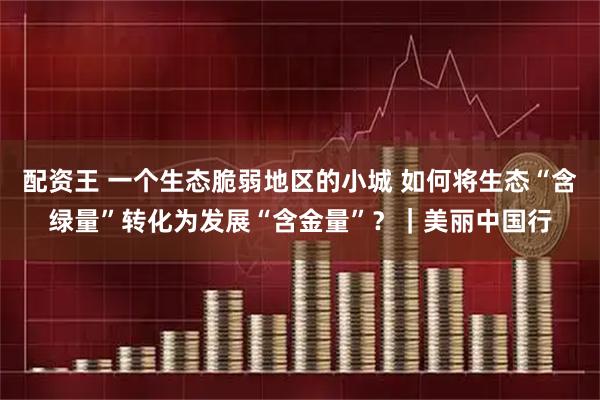 配资王 一个生态脆弱地区的小城 如何将生态“含绿量”转化为发展“含金量”？｜美丽中国行